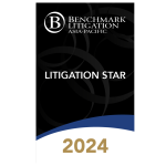 BM AP-Litigation Star 2024