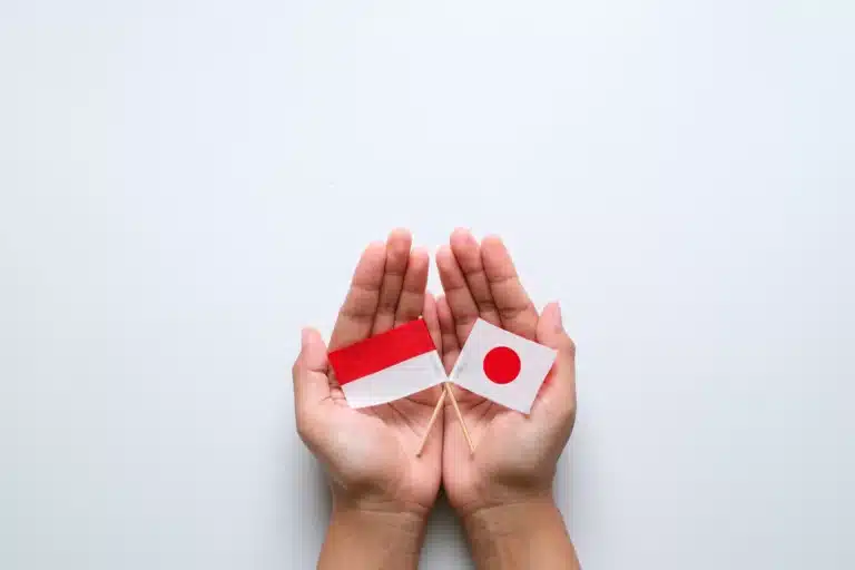 インドネシアと日本の外交関係の 65 年: IKN における日本の投資機会　IKN