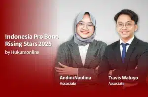 Pro Bono Rising Star -Thumbnail Website Article